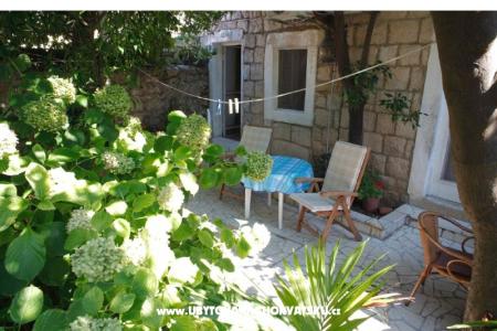 Apartment Milu photo 3