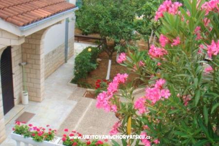 Apartments Arijana photo 2