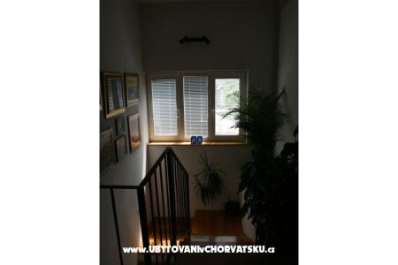 Apartments Katarina photo 5