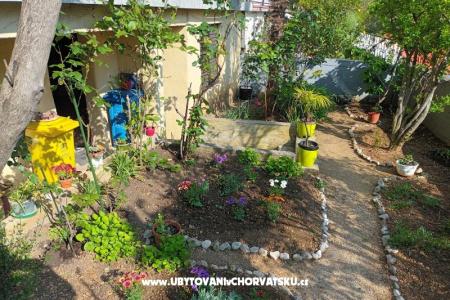 Apartments Rosi photo 4