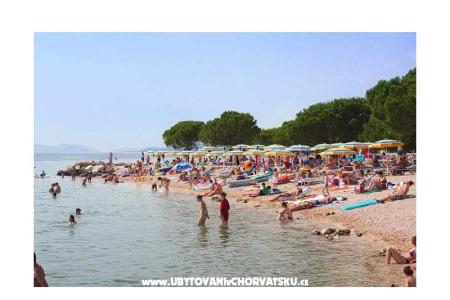 App Butković photo 4