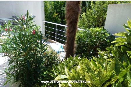 Villetta Magnolia photo 2