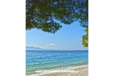 Delić Apartments  photo 5