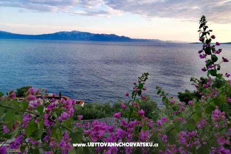 Vila Vesna photo 2
