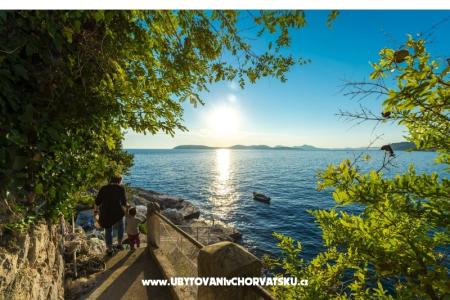 Apartments Diana photo 3