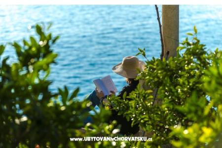 Apartments Diana photo 5