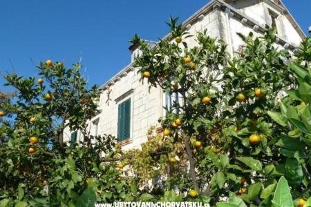 Apartments Mir Dubrovnik photo 2