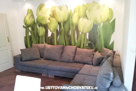 Apartment Estera photo 2