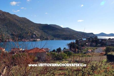 Apartment Markovic photo 3