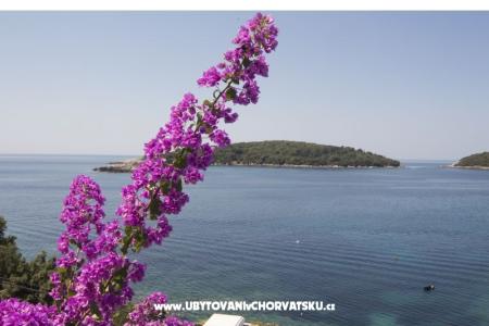 Apartments Rašica photo 5