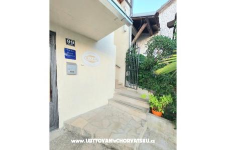 Apartments Villa Riva Molunat photo 4