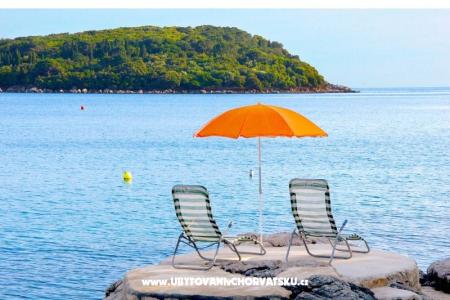 Apartments Miovic Molunat photo 2