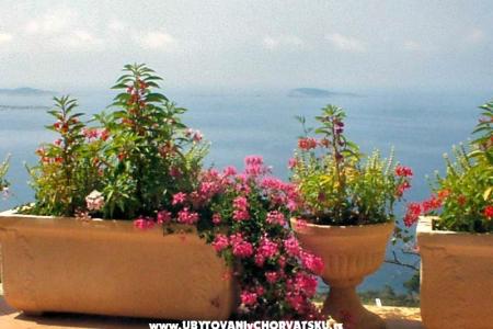 Rooms Marija photo 2