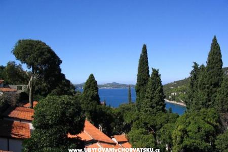 Villa Rašica d.o.o. photo 4