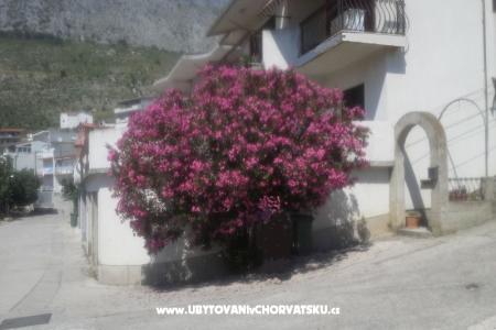 Apartment Pero photo 3