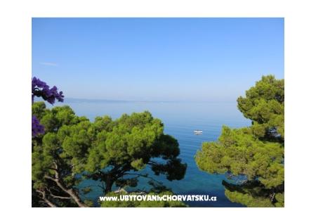 Apartments Kale photo 2