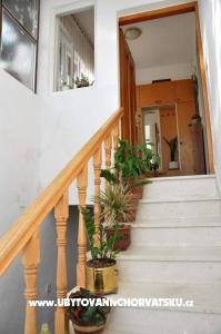 Apartments Marija photo 4