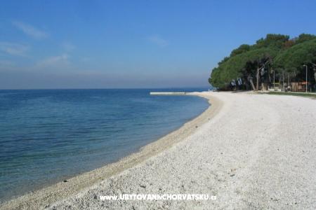 Apartments L Fazana Croatia