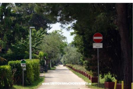 Apartments L photo 2