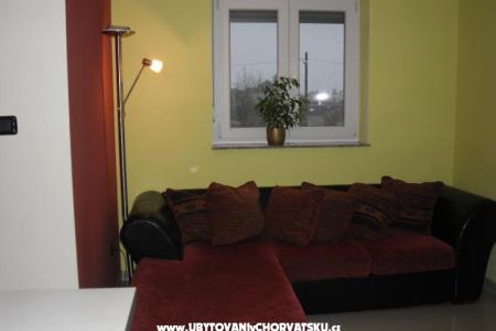 Apartments Nešić photo 3