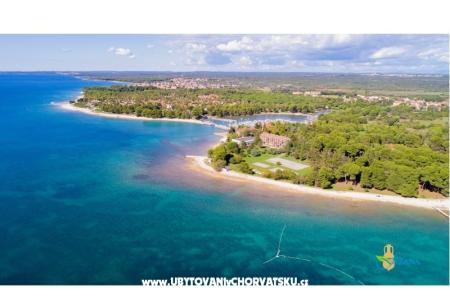 Apartments Alba photo 5