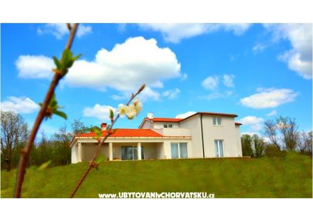 Villa Alison photo 2
