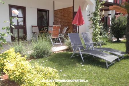 Apartments VIKI photo 2