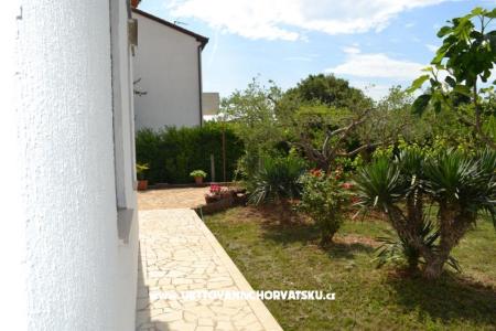 Vila Nona Ivka photo 4