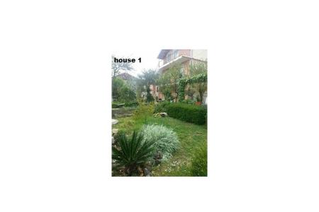 JAGODA photo 5