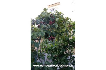 Apartments Matej photo 5