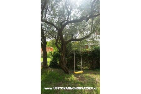 Apartments Dijana photo 5