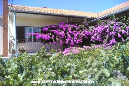 Apartments Liđa Sv. Filip i Jakov Croatia