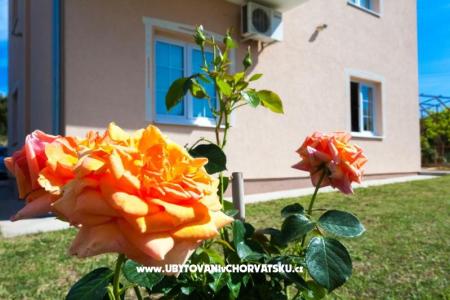 Apartments Sea view photo 2