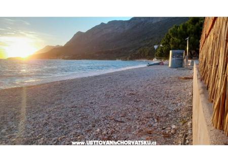AntonBille photo 2
