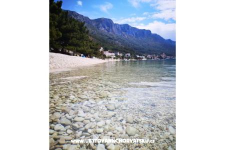 Apartment Borovi photo 5