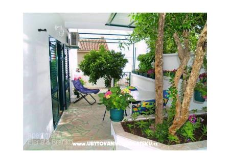 Apartments Elena  photo 2