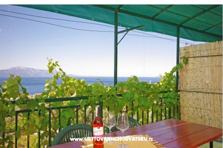 Apartments i sobe Maslina photo 5