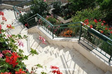 Apartments Ivana  photo 5