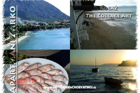 Apartments Žarko photo 3