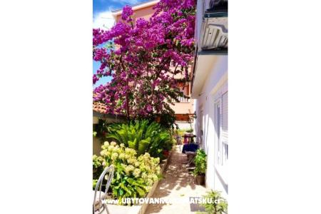 Apartments Jerković Gradac photo 5