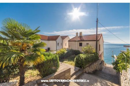 Color Apartments Miošić photo 2