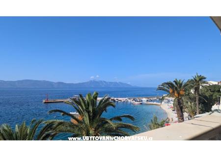 Vice Apartments photo 3