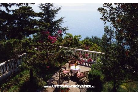 Vila Jadran photo 3