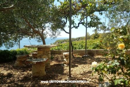 ART AND NATURE  photo 2