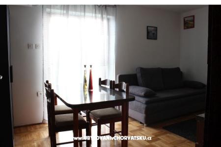 ART AND NATURE  photo 5