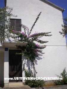 Apartments Beroš photo 2