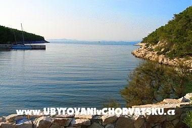 Apartment Stiniva photo 5