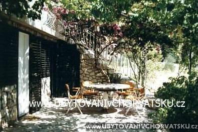 Apartments Bougainvillea photo 2