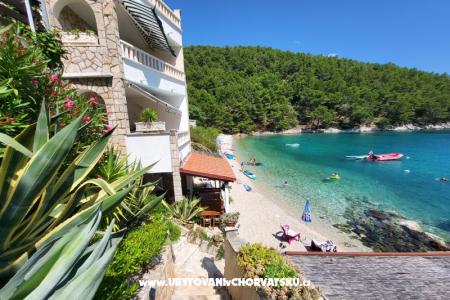 Villa Smokvina  photo 4