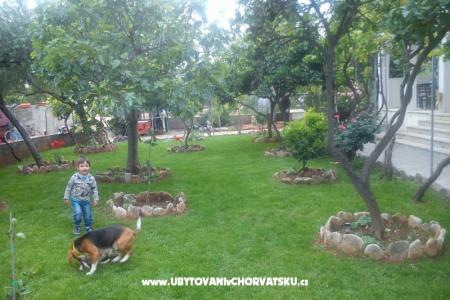 Jadranka Franičević photo 2